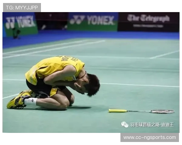 与李芳畅谈羽毛球生涯的辉煌与挑战之路